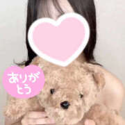 ヒメ日記 2025/06/08 08:58 投稿 ハナミズキ 飾窓