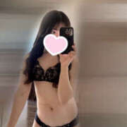 ヒメ日記 2025/06/12 09:44 投稿 ハナミズキ 飾窓