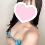 ヒメ日記 2025/06/30 10:44 投稿 ハナミズキ 飾窓