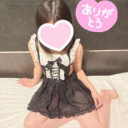 ヒメ日記 2025/07/03 00:06 投稿 ハナミズキ 飾窓