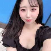 ヒメ日記 2025/07/15 11:27 投稿 ハナミズキ 飾窓