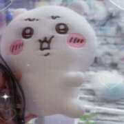 ヒメ日記 2025/07/25 20:02 投稿 ハナミズキ 飾窓