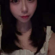 ヒメ日記 2025/07/28 00:07 投稿 ハナミズキ 飾窓