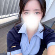 ヒメ日記 2025/08/01 17:36 投稿 ハナミズキ 飾窓