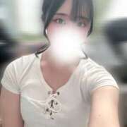 ヒメ日記 2025/08/07 12:50 投稿 ハナミズキ 飾窓