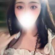 ヒメ日記 2025/08/09 10:48 投稿 ハナミズキ 飾窓