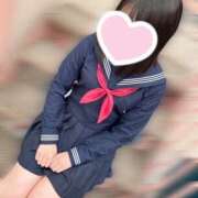 ヒメ日記 2025/08/11 07:46 投稿 ハナミズキ 飾窓