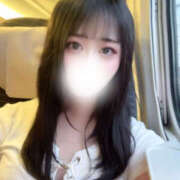 ヒメ日記 2025/08/13 16:03 投稿 ハナミズキ 飾窓