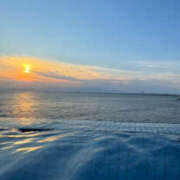 ヒメ日記 2025/08/21 10:05 投稿 ハナミズキ 飾窓