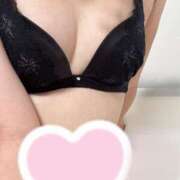 ヒメ日記 2025/08/25 10:47 投稿 ハナミズキ 飾窓