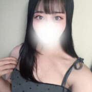 ヒメ日記 2025/08/31 11:57 投稿 ハナミズキ 飾窓