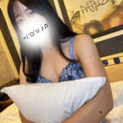 ヒメ日記 2025/09/07 13:45 投稿 ハナミズキ 飾窓