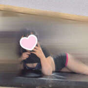 ヒメ日記 2025/09/30 11:43 投稿 ハナミズキ 飾窓