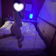 ヒメ日記 2025/10/11 14:16 投稿 ハナミズキ 飾窓