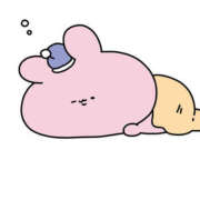 ヒメ日記 2025/10/20 00:40 投稿 ハナミズキ 飾窓