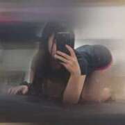 ヒメ日記 2025/11/11 00:49 投稿 ハナミズキ 飾窓