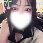 ヒメ日記 2025/11/13 23:12 投稿 ハナミズキ 飾窓