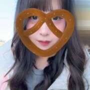 ヒメ日記 2025/11/14 10:36 投稿 ハナミズキ 飾窓