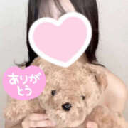 ヒメ日記 2025/11/15 16:50 投稿 ハナミズキ 飾窓