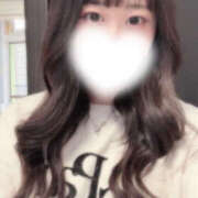 ヒメ日記 2025/11/16 13:30 投稿 ハナミズキ 飾窓