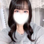 ヒメ日記 2025/11/21 12:33 投稿 ハナミズキ 飾窓