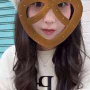 ヒメ日記 2025/11/23 16:28 投稿 ハナミズキ 飾窓