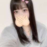 ヒメ日記 2025/11/24 09:03 投稿 ハナミズキ 飾窓