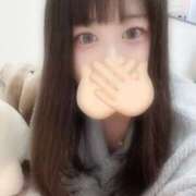 ヒメ日記 2025/11/24 15:40 投稿 ハナミズキ 飾窓