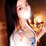 ヒメ日記 2025/12/02 11:46 投稿 ハナミズキ 飾窓