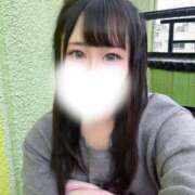 ヒメ日記 2025/12/06 13:35 投稿 ハナミズキ 飾窓