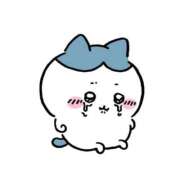 ハナミズキ お休み；； 飾窓