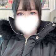 ハナミズキ ありがとう💞 飾窓