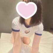 ハナミズキ 昨日も🈵ありがとう！ 飾窓