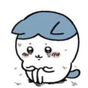 ヒメ日記 2026/01/08 13:55 投稿 ハナミズキ 飾窓