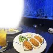 ヒメ日記 2026/01/16 09:52 投稿 ハナミズキ 飾窓