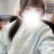 ヒメ日記 2026/01/27 12:01 投稿 ハナミズキ 飾窓