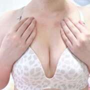 ヒメ日記 2026/01/28 14:47 投稿 ハナミズキ 飾窓