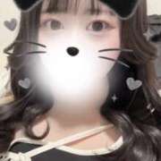 ヒメ日記 2026/01/29 13:25 投稿 ハナミズキ 飾窓