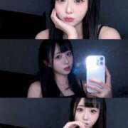 ヒメ日記 2026/02/01 11:00 投稿 ハナミズキ 飾窓