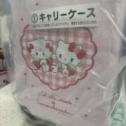 ヒメ日記 2026/02/02 12:50 投稿 ハナミズキ 飾窓