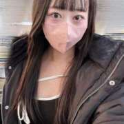 ヒメ日記 2026/02/03 11:37 投稿 ハナミズキ 飾窓