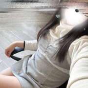 ヒメ日記 2026/02/04 12:36 投稿 ハナミズキ 飾窓