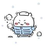 ヒメ日記 2026/02/08 12:02 投稿 ハナミズキ 飾窓