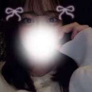 ヒメ日記 2026/02/21 11:56 投稿 ハナミズキ 飾窓