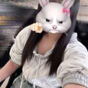 ハナミズキ 珍しく🤍 飾窓