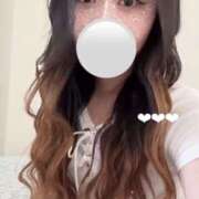 ヒメ日記 2026/03/10 11:39 投稿 ハナミズキ 飾窓