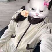 ヒメ日記 2026/03/14 15:41 投稿 ハナミズキ 飾窓