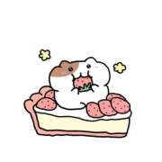 ヒメ日記 2026/03/21 13:18 投稿 ハナミズキ 飾窓