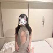 ヒメ日記 2026/03/30 12:35 投稿 ハナミズキ 飾窓