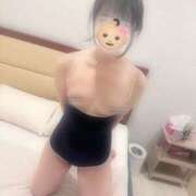 ヒメ日記 2026/04/04 11:34 投稿 ハナミズキ 飾窓